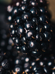 Fresh blackberry