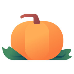pumpkin illustration