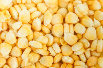 Textured and background pile of frozen corn. Vegetable preservation