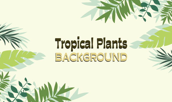 Tropical plants background, modern and minimalist design