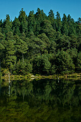Fototapeta na wymiar lake in the forest in Iturbide dam 