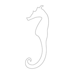 seahorses icon illustration vector
