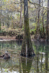 radium springs