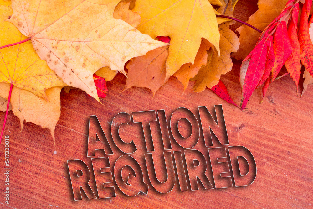 Poster autumn leaves, objects with action required text. natural patterns, color design.