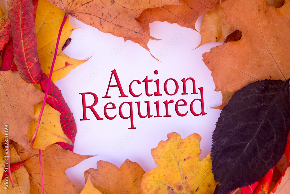 Poster autumn leaves, objects with action required text. natural patterns, color design.
