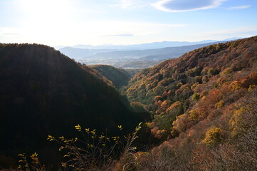 Naklejka premium 蓼科湖