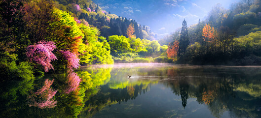 the sunrise of a duck-swimming lake 세량지