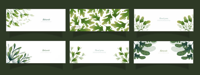 leaves bakground design vector for ecology 
set bundle nature leaves background