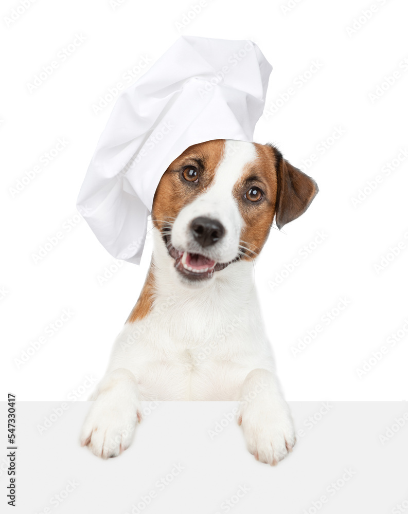 Poster smiling dog in chef's hat above empty white banner. isolated on white background
