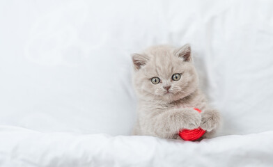 Playful kitten hugs red clew on a bed under warm white blanket. Top down view. Empty space for text