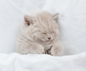 Cozy kitten sleeps under blanket on a bed at home. Top down view