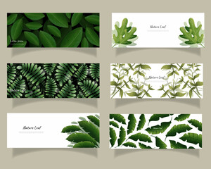 leaves bakground design vector for ecology 
set bundle nature leaves background