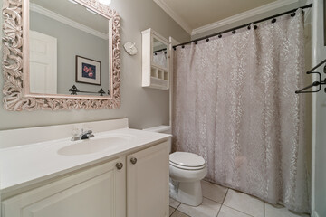 Luxury home bathroom 