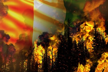 Forest fire natural disaster concept - heavy fire in the trees on Cote d Ivoire flag background - 3D illustration of nature