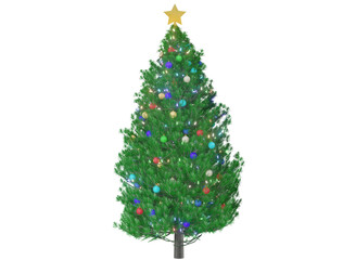 Christmas Tree Monterey Pine on transparent background png file with christmas tree star and colorful ornaments , illuminated Christmas LED lights for your Christmas stuff.