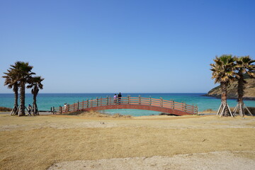 fine bridge at seaside