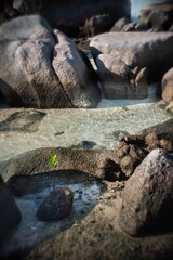 seaside in Bintan island,indonesia