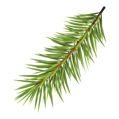 spruce branch for new year and christmas