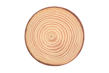 The modern wooden scene for show products, Stump, Cross section of tree trunk showing growth rings,...