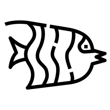 recommend clip art: Arabian Angelfish icon, Outline style. Isolate on transparency background