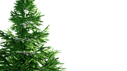 Christmas Tree Branches Isolated on PNGs transparent background	