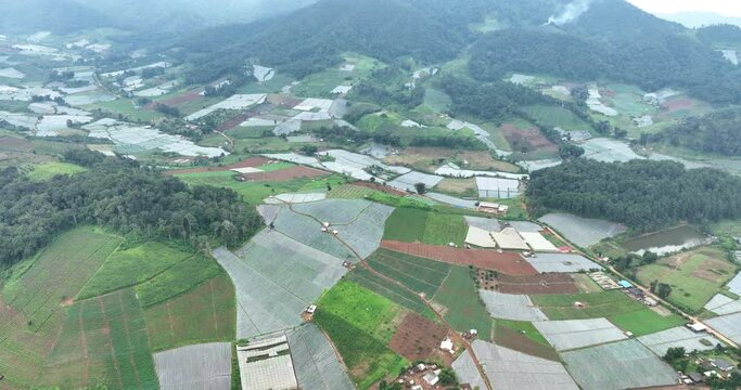 strawberry plantation and village at mea tang chiang mai norther of thailand aerial drone of point view, 4k video
