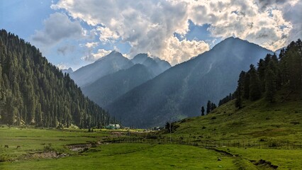 Fototapeta premium Beautiful hilltop meadows of Kashmir. 