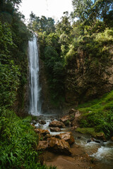 Fototapeta na wymiar Waterfall surrounded by green forest, virgin nature