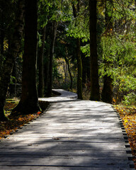 Schwarzes Moor at Rhön, Germany