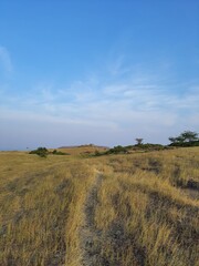 Fototapeta premium landscape with a river