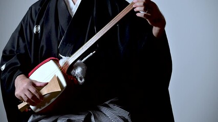 三味線の手元のアップ　顔無し