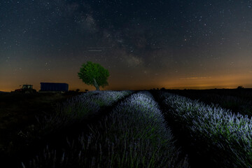 Milky Way on Lavander Field