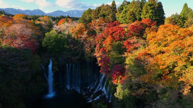 scenic autumn landscape for meditation, waterfall in colourful autumn woods, aerial view of Shiraito waterfall in Japan, famous travel destination in Japan