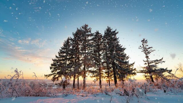beautiful snowfall and winter landscape, the movement of the sun through a tree in winter, a frozen waterfall, 4k, time lapse