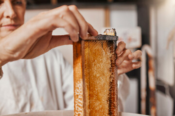 Honeycomb, beekeeping and hands of woman on sustainable farm for honey, beeswax and food in...