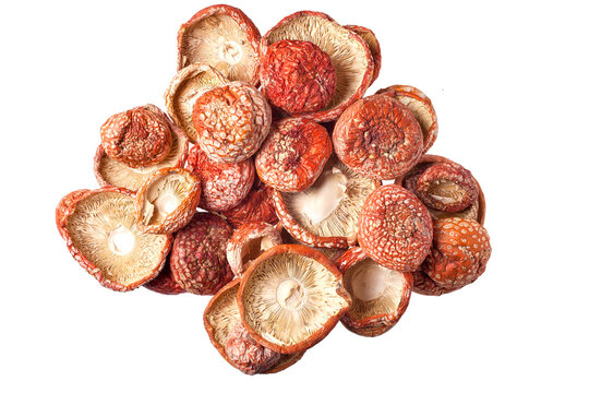Dried mushroom fly agaric isolated on a white background