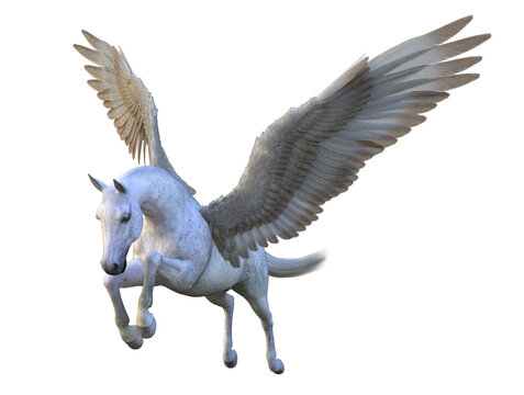 3d render horse pegasus