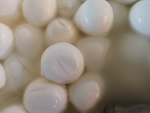 mozzarella di bufala campana