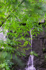 東京都／新宿区／滝