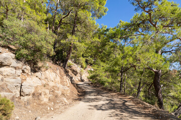 Fototapeta na wymiar Deserted mountain road in the Mediterranean