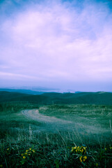 Fototapeta premium field and blue sky