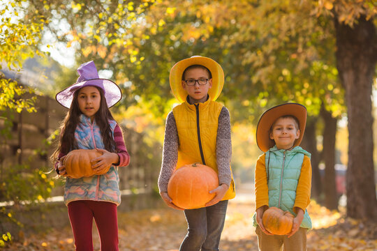 Kids Picking And Carving Pumpkins At Country Farm