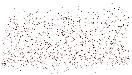 large flock of birds on a white background.