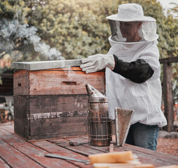 Box, beekeeper and farm agriculture inspection of honey, honeycomb and wooden hives farming....