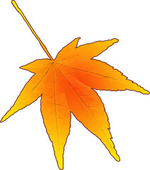 赤く色づいたモミジ