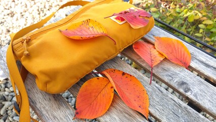 bag and maple leaves on the beach