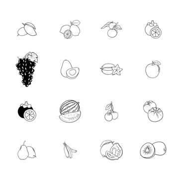 Set of fruits design in line art drawing for advertising template design