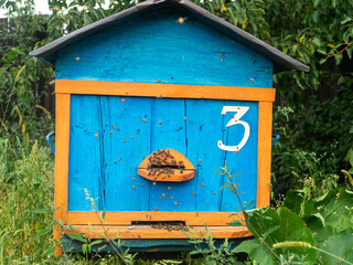 Bee hive frame blue yellow color in green garden