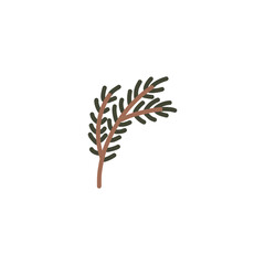 Hand drawn pine tree branch. Green lush spruce branch. Vector doodle illustration