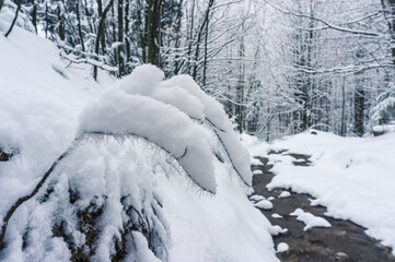 Ice crystals on a snow-covered branch. Snow drifts in the winter forest. Winter natural texture
